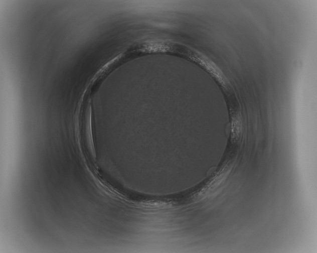 X0000112170722200908141305