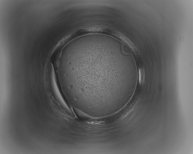 X0000112170723200908141305