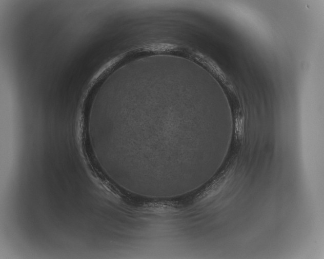 X0000112170724200908141305