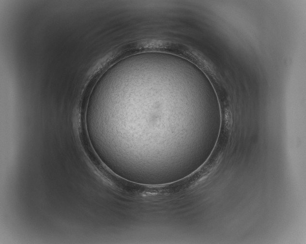 X0000112170725200908141305