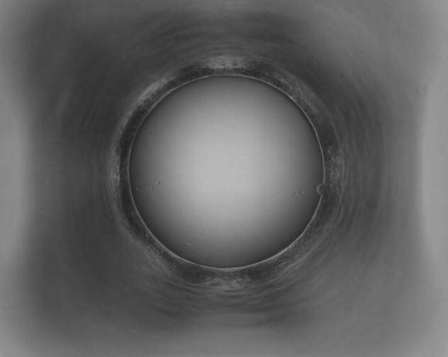 X0000112170727200908141305