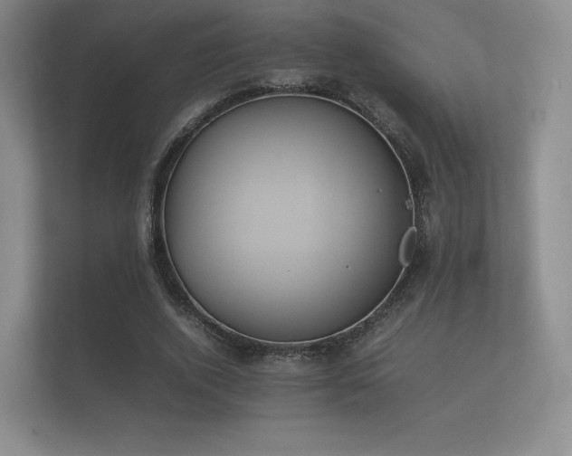 X0000112170728200908141305