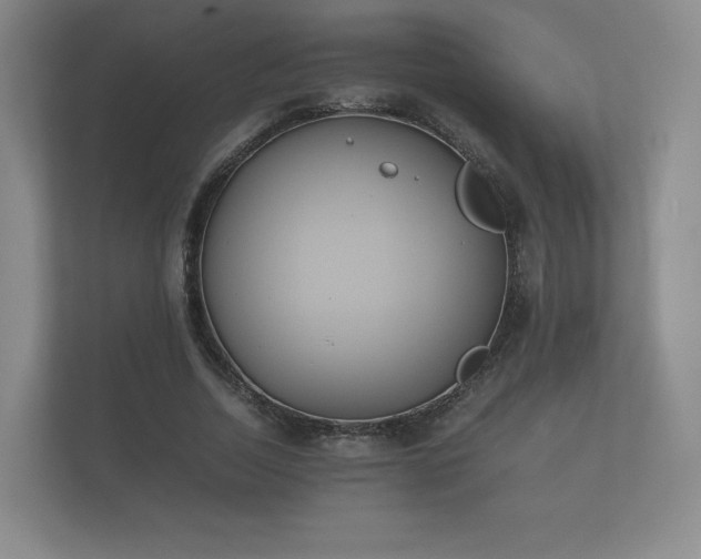 X0000112170730200908141305