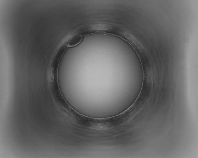 X0000112170731200908141305