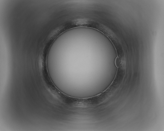 X0000112170732200908141305