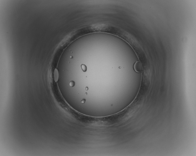 X0000112170734200908141305