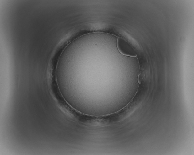 X0000112170736200908141305