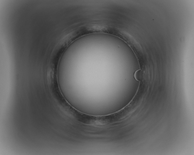 X0000112170739200908141305