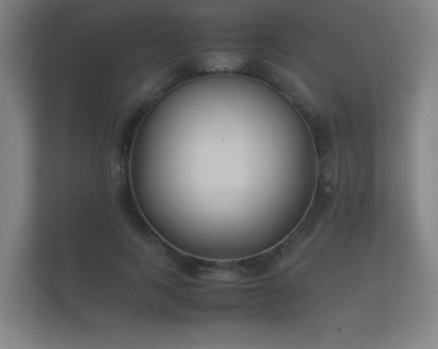 X0000112170743200908141305