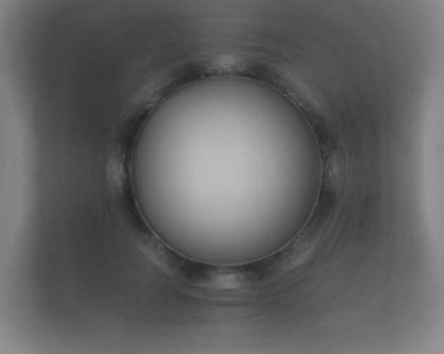 X0000112170746200908141305