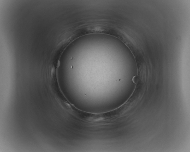 X0000112170747200908141305