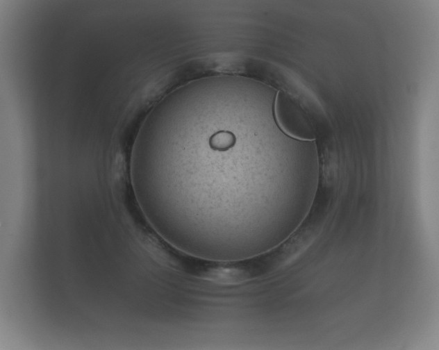 X0000112170748200908141305