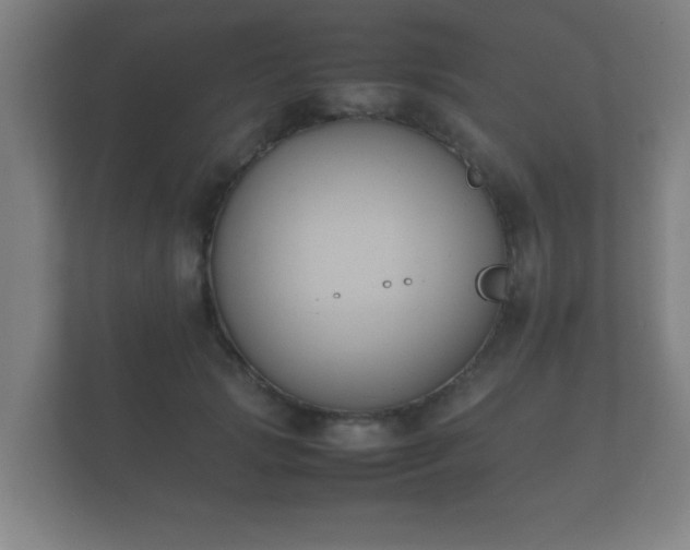 X0000112170749200908141305