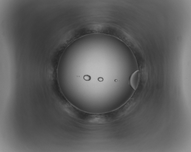 X0000112170750200908141305