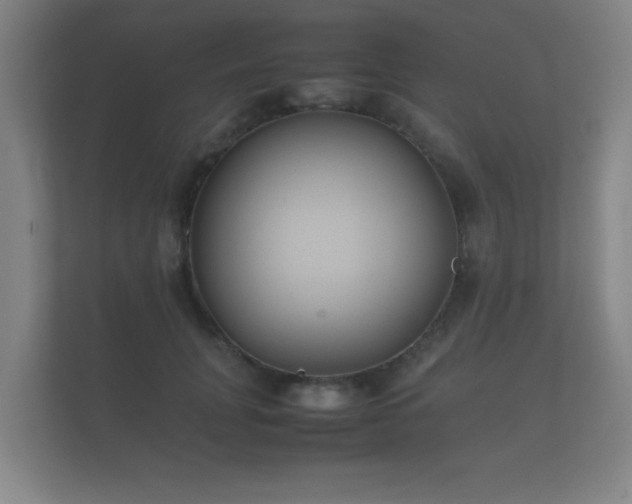 X0000112170751200908141305