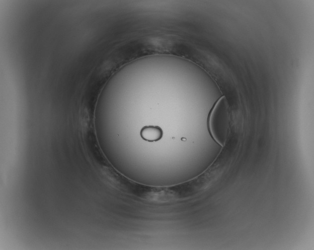 X0000112170752200908141305