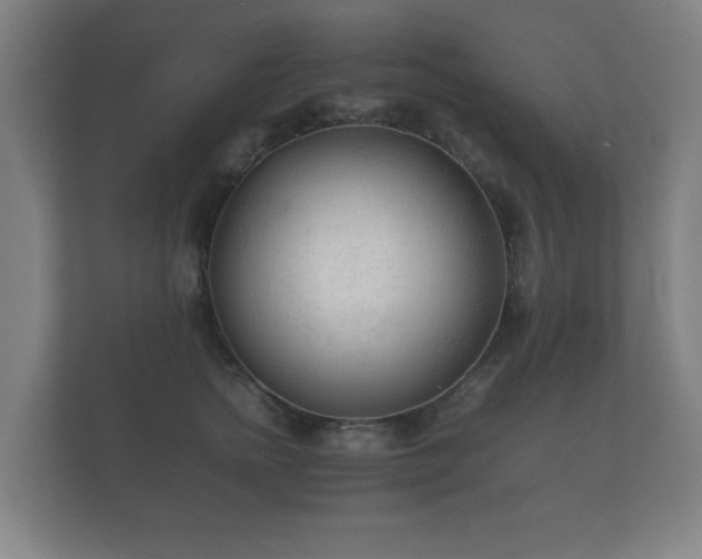 X0000112170758200908141305