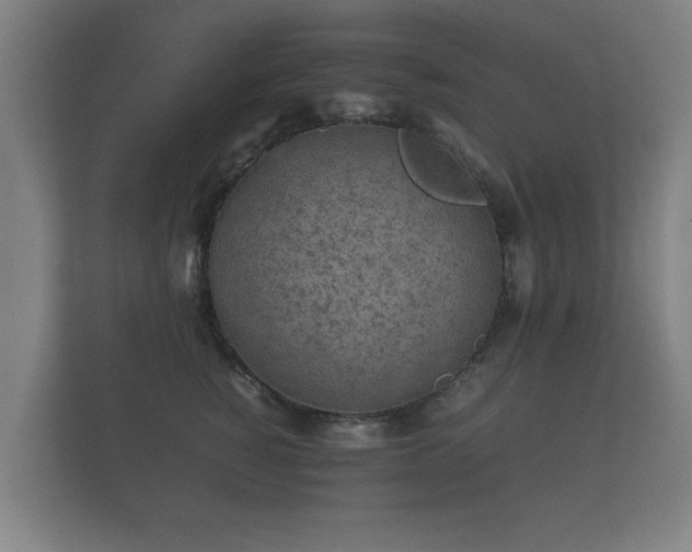 X0000112170760200908141305