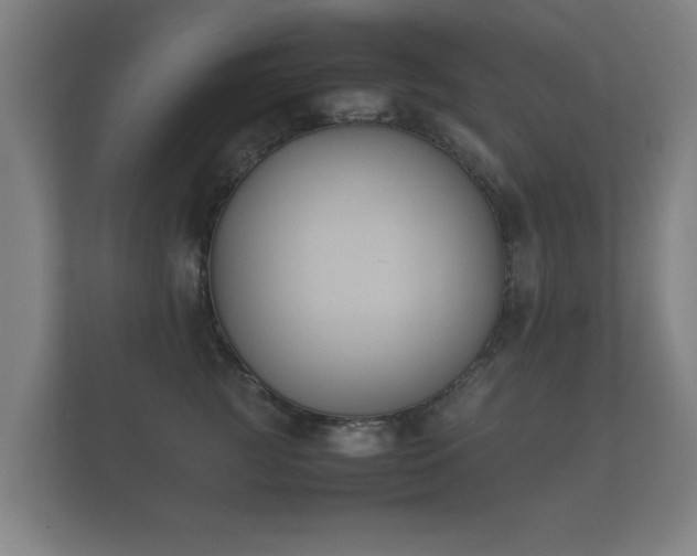 X0000112170761200908141305