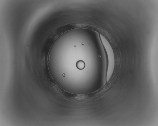 X0000112170762200908141305