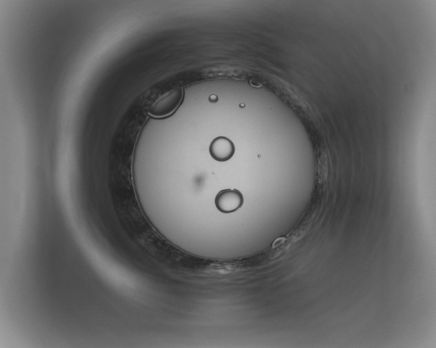 X0000112170764200908141305