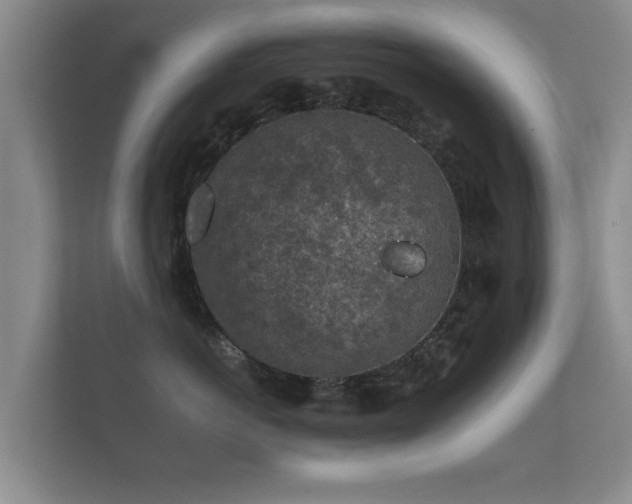 X0000112170766200908141305