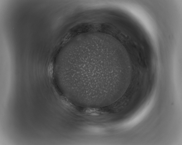 X0000112170767200908141305