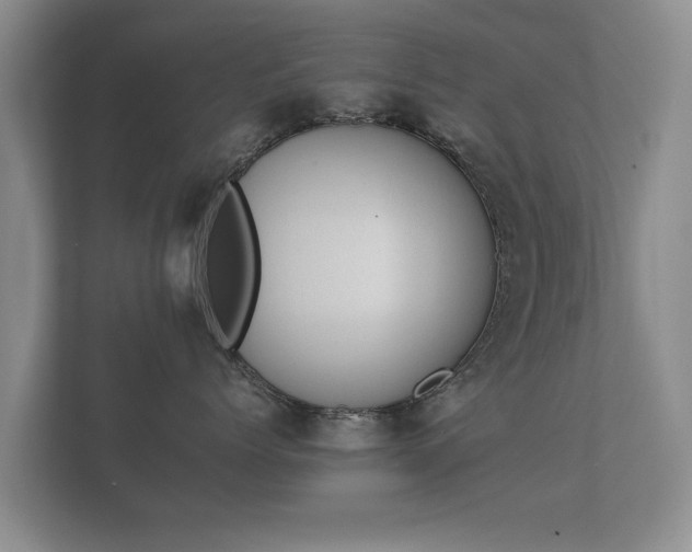 X0000112170768200908141305