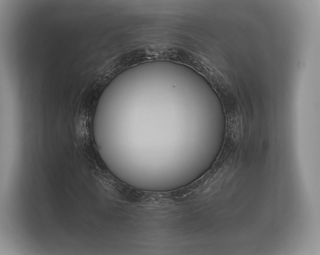 X0000112170770200908141305