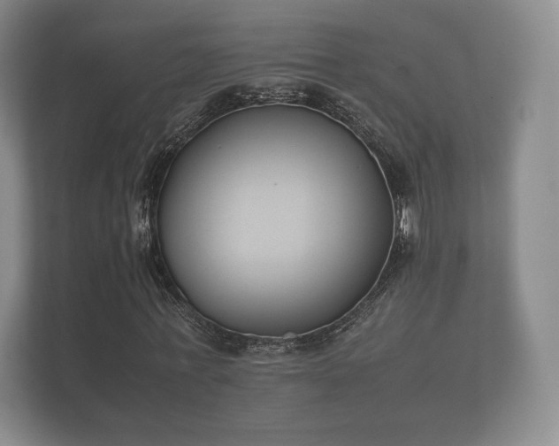 X0000112170771200908141305