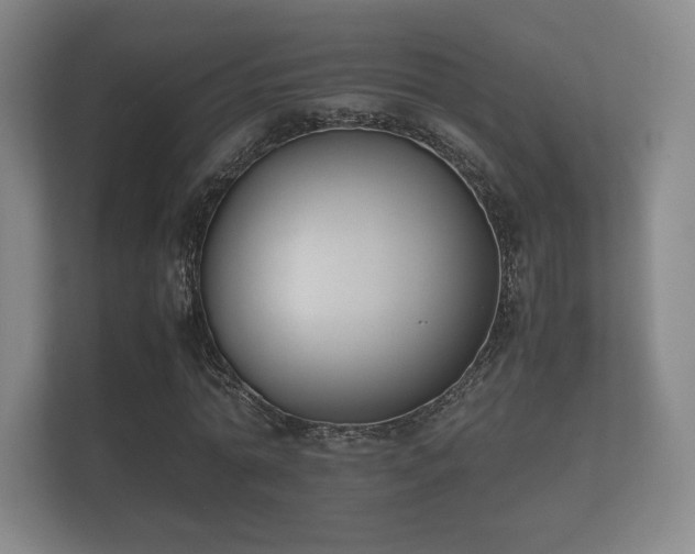 X0000112170774200908141305