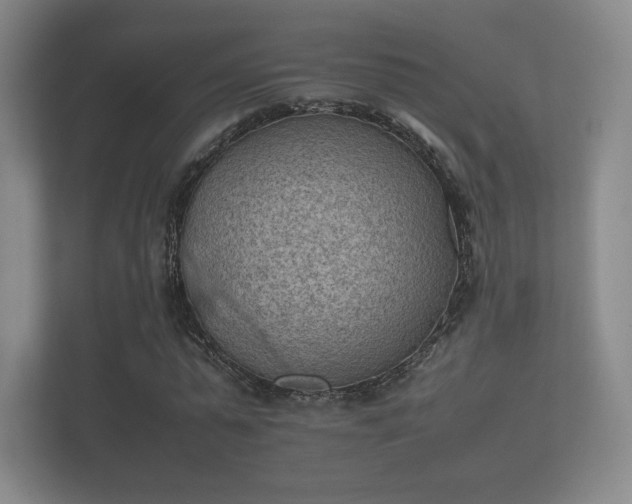 X0000112170775200908141305