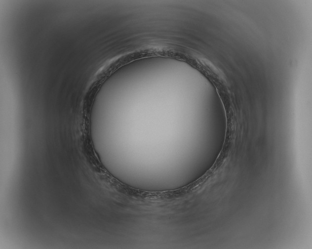 X0000112170776200908141305