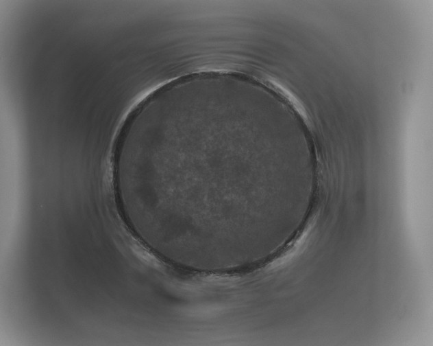 X0000112170779200908141305