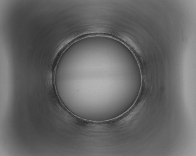 X0000112170781200908141305