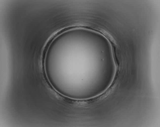 X0000112170784200908141305