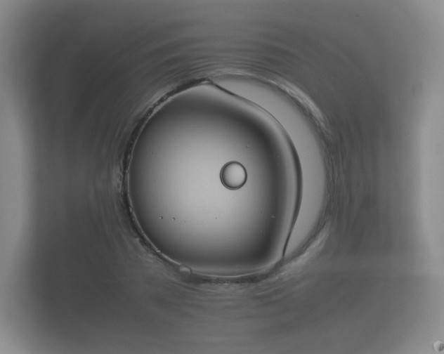 X0000112170785200908141305