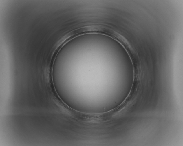 X0000112170786200908141305