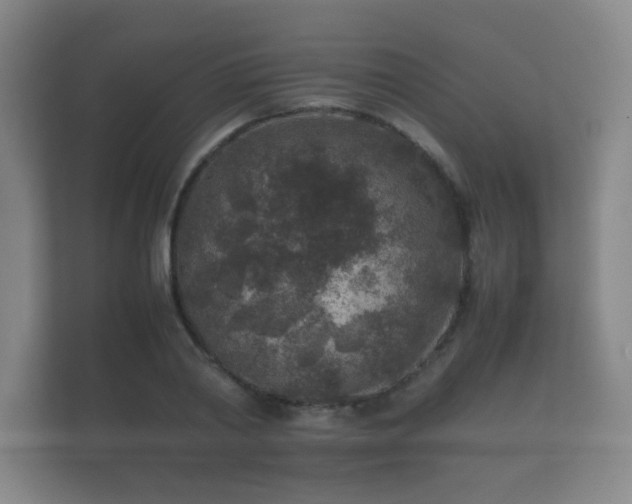 X0000112170790200908141305