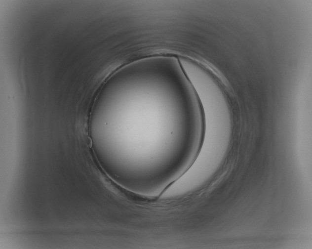 X0000112170793200908141305