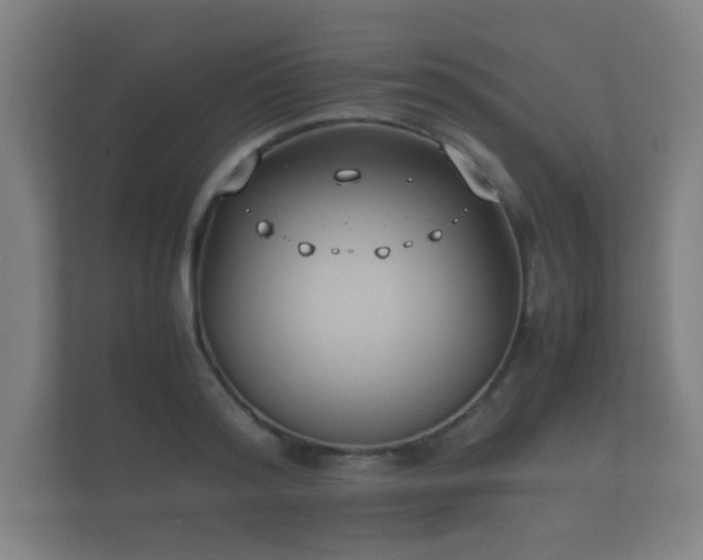 X0000112170796200908141305