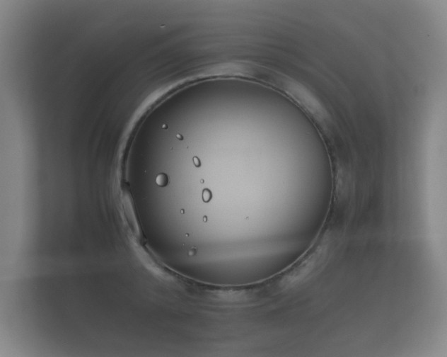 X0000112170800200908141304