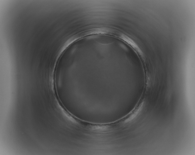 X0000112170802200908141304