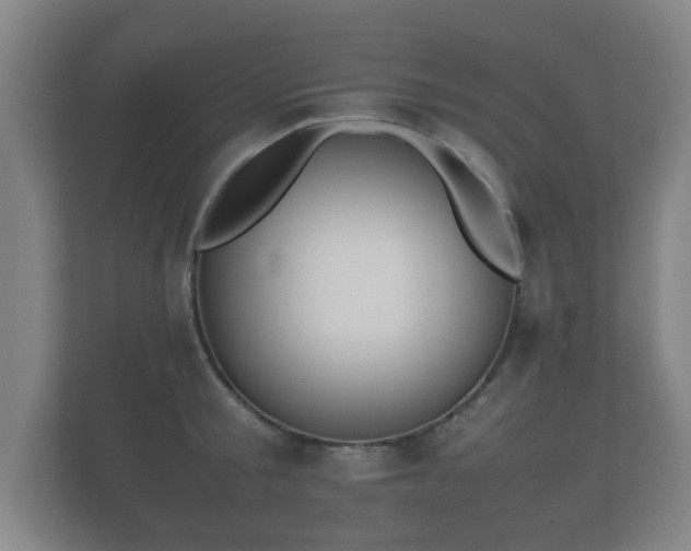 X0000112170805200908141304