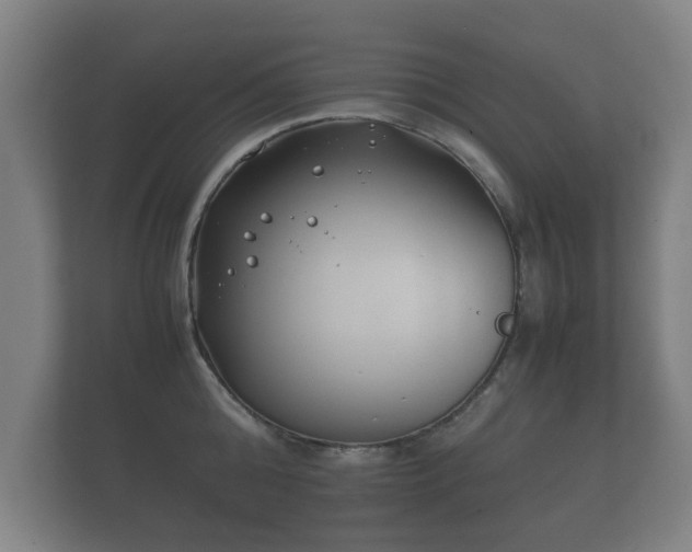 X0000112170808200908141304