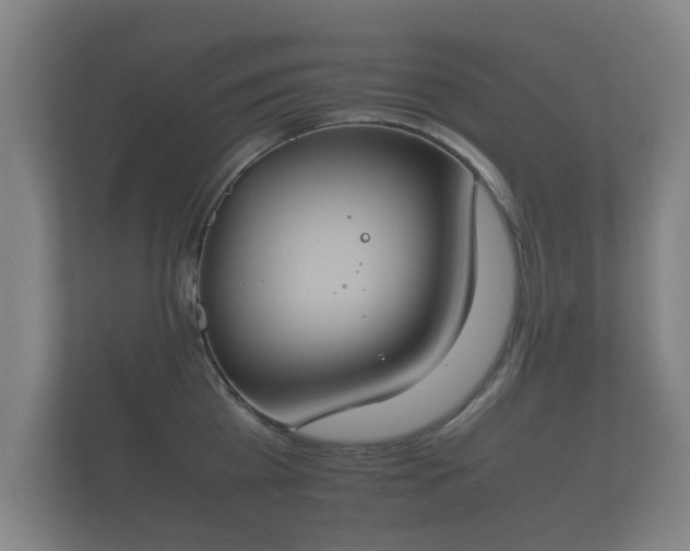 X0000112170809200908141304