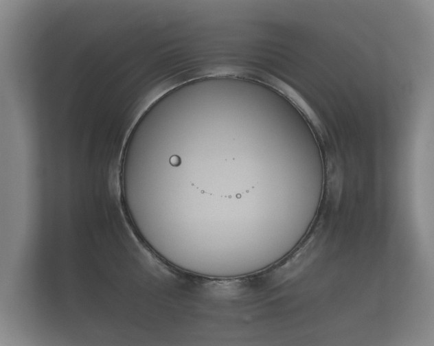 X0000112170810200908141304