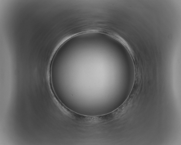 X0000112170811200908141304