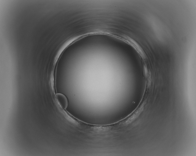 X0000112170812200908141304