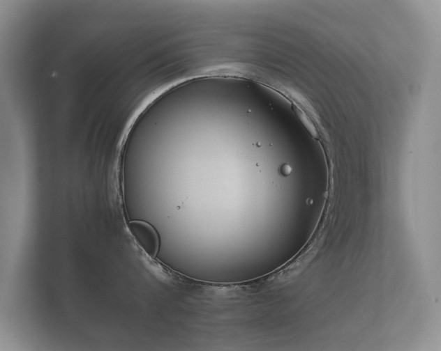 X0000112170816200908141304